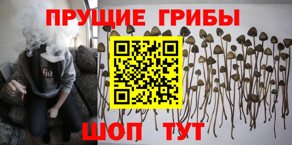 Костомукша  Псилоцибиновые грибы ЛСД  Галлюциногенные грибы мухоморы  Вход с VPN 