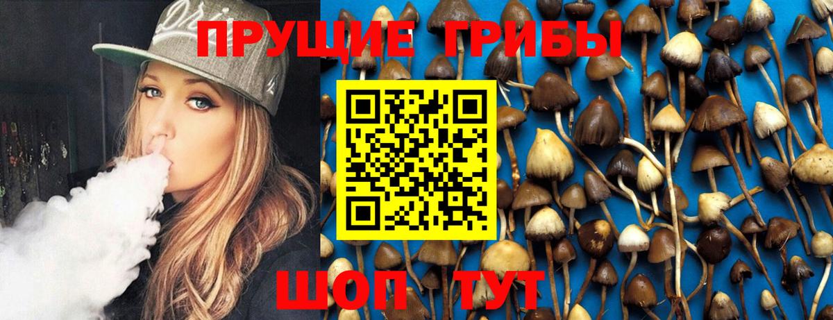Псилоцибиновые грибы Cubensis Костомукша